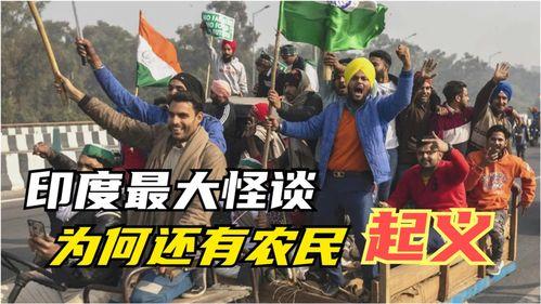 大地印度在线观看,在线探索神秘印度文化的视觉之旅