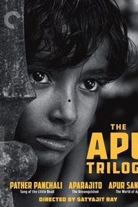 大地印度在线观看,在线探索神秘印度文化的视觉之旅 第2张 大地印度在线观看,在线探索神秘印度文化的视觉之旅 第2张